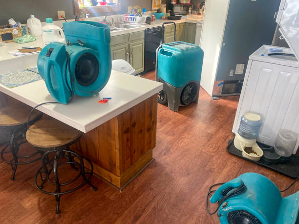 Carpet water damage restoration in Oakridge, OR