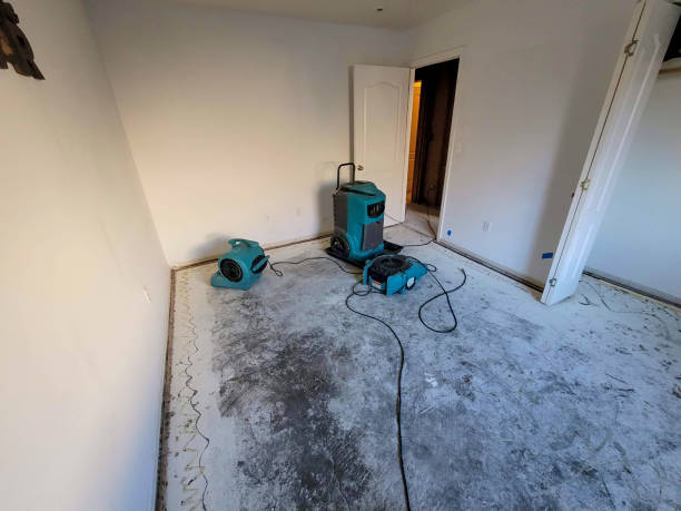 Best Water damage contractors near me  in Oakridge, OR