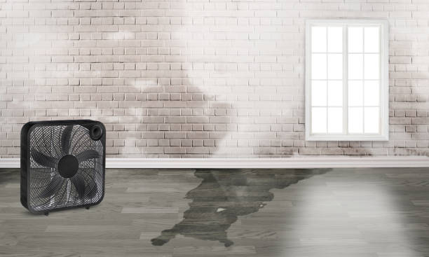 Trusted Oakridge, OR Water damage restoration Experts