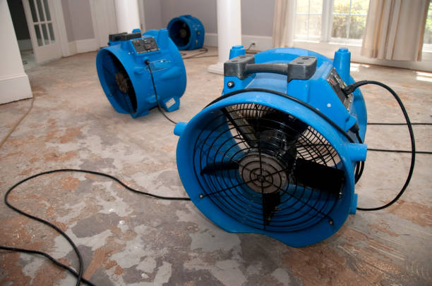 Best Flooded house restoration  in Oakridge, OR