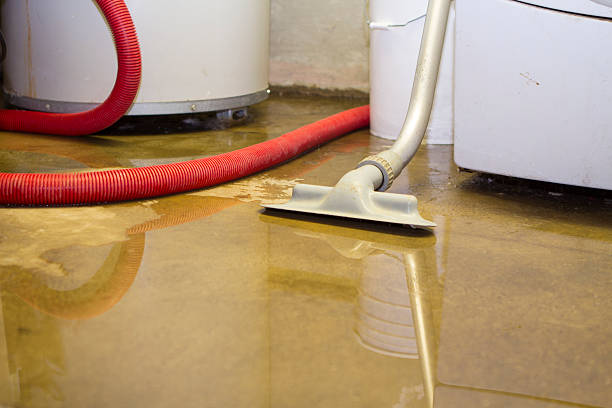 Best Water damage restoration near me  in Oakridge, OR