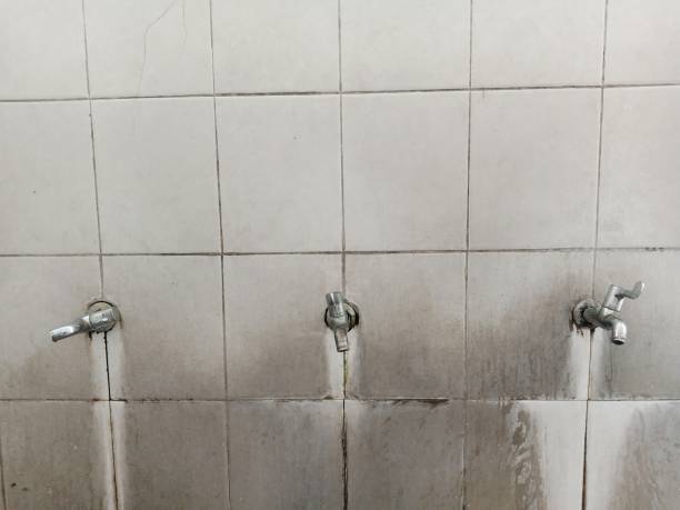 Best Flood restoration services  in Oakridge, OR