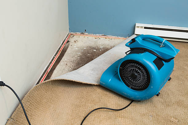 Best Emergency water damage restoration  in Oakridge, OR